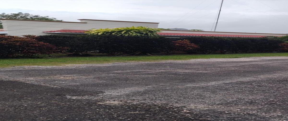 Foto de terreno habitacional en venta en s/n , villas de conkal, conkal, yucatán, 25053924 No. 03