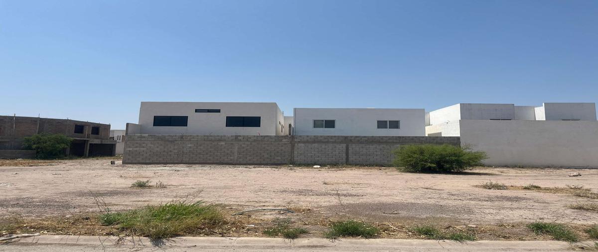 Foto de terreno habitacional en venta en s/n , villas del renacimiento, torreón, coahuila de zaragoza, 0 No. 03