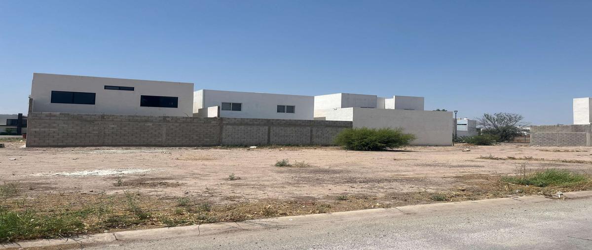 Foto de terreno habitacional en venta en s/n , villas del renacimiento, torreón, coahuila de zaragoza, 0 No. 04