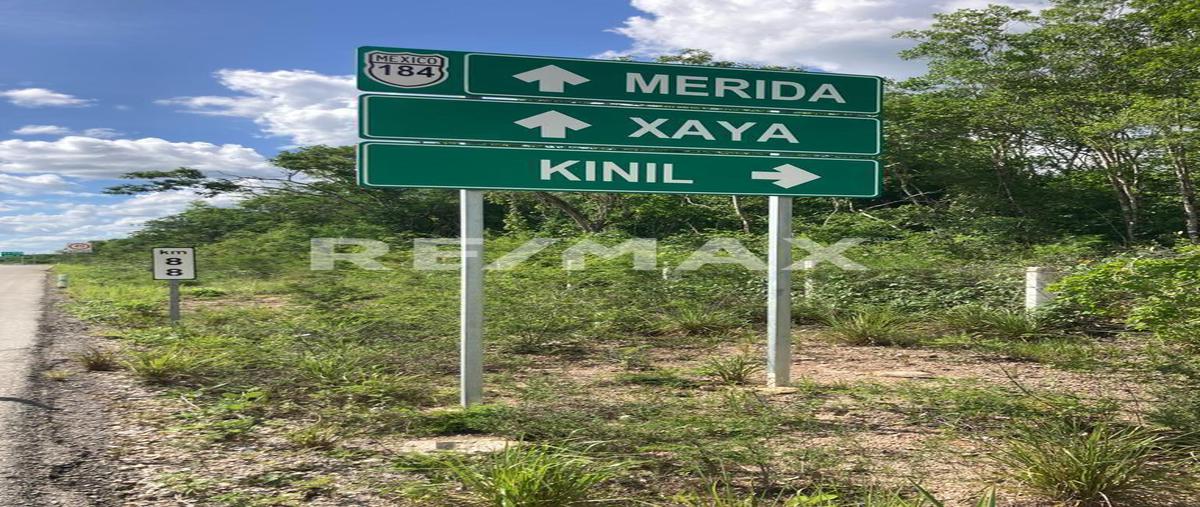 Foto de terreno comercial en sn , xaya, tekax, yucatán, 0 foto 02 Foto de terreno comercial en venta en sn , xaya, tekax, yucatán, 0 No. 02