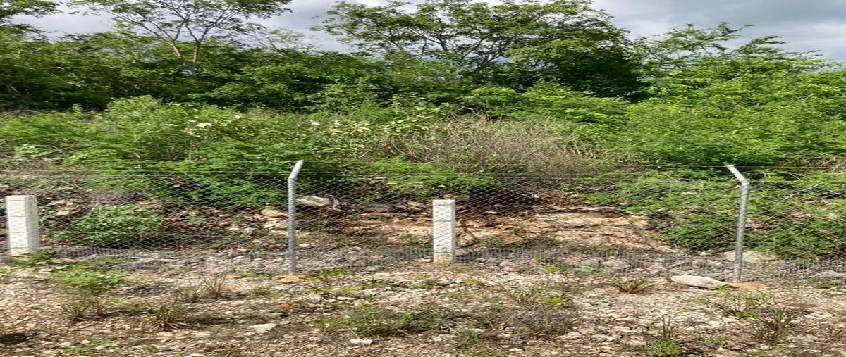 Foto de terreno comercial en venta en sn , xaya, tekax, yucatán, 26019919 No. 03