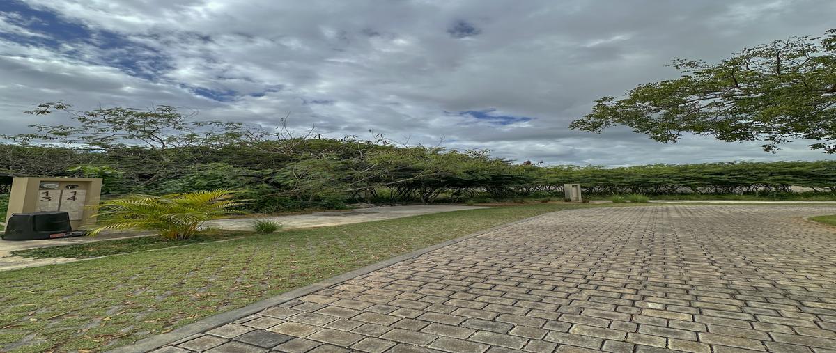 Foto de terreno habitacional en venta en s/n , xcanatún, mérida, yucatán, 30924199 No. 03