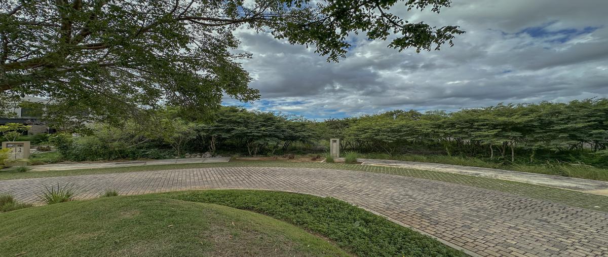 Foto de terreno habitacional en venta en s/n , xcanatún, mérida, yucatán, 30924199 No. 04