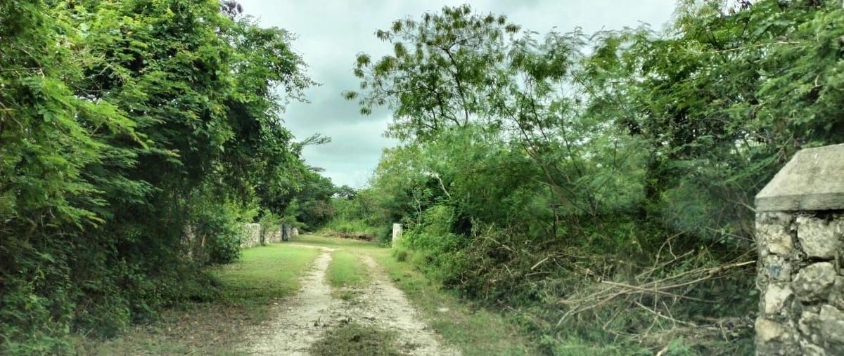 Foto de terreno habitacional en s/n , xcunyá, mérida, yucatán, 0 foto 01 Foto de terreno habitacional en venta en s/n , xcunyá, mérida, yucatán, 0 No. 01