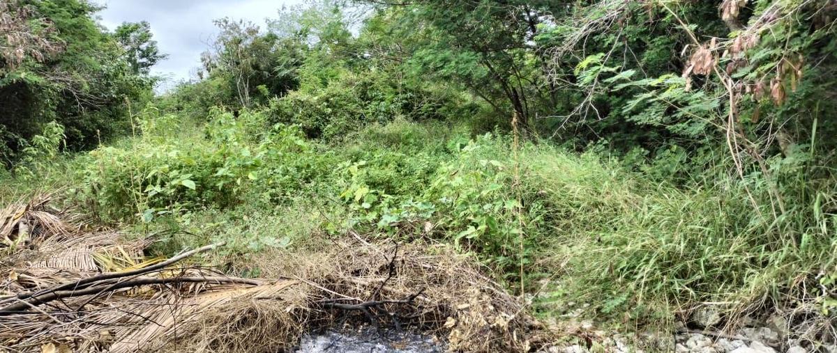 Foto de terreno habitacional en s/n , xcunyá, mérida, yucatán, 0 foto 02 Foto de terreno habitacional en venta en s/n , xcunyá, mérida, yucatán, 0 No. 02