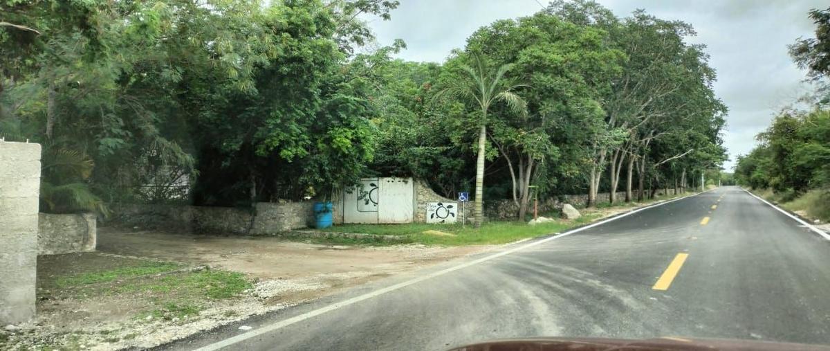 Foto de terreno habitacional en s/n , xcunyá, mérida, yucatán, 0 foto 05 Foto de terreno habitacional en venta en s/n , xcunyá, mérida, yucatán, 0 No. 05
