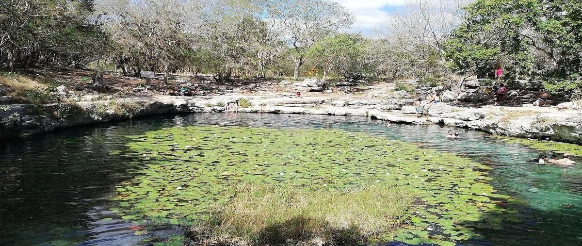 Foto de terreno habitacional en venta en s/n , xcunyá, mérida, yucatán, 31031328 No. 05
