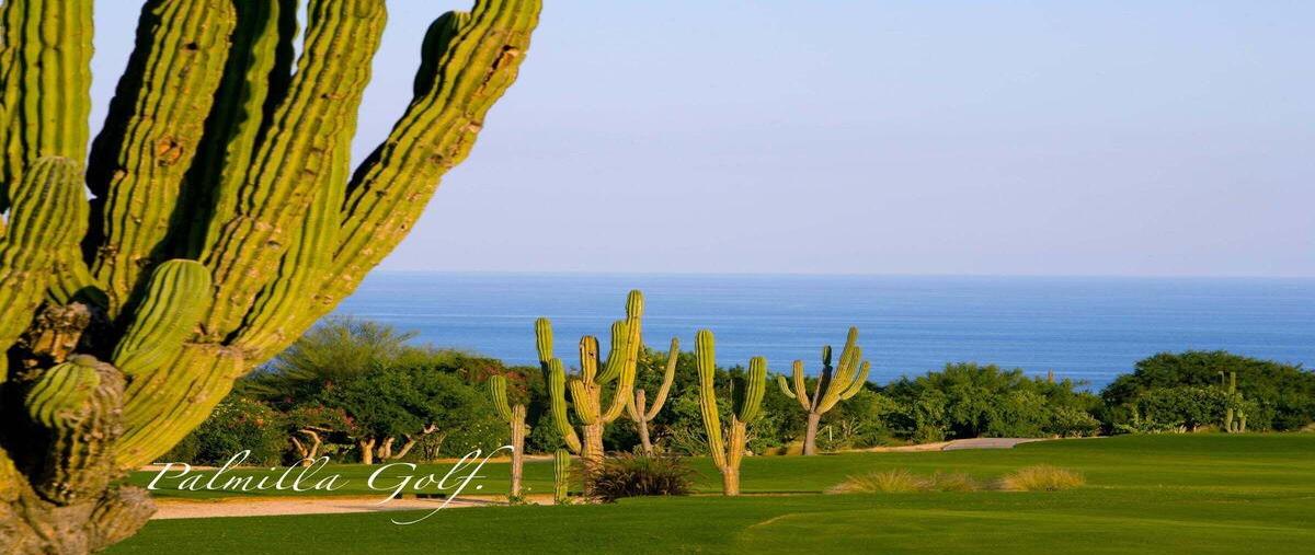 Foto de casa en venta en sn , zona hotelera, los cabos, baja california sur, 0 No. 05