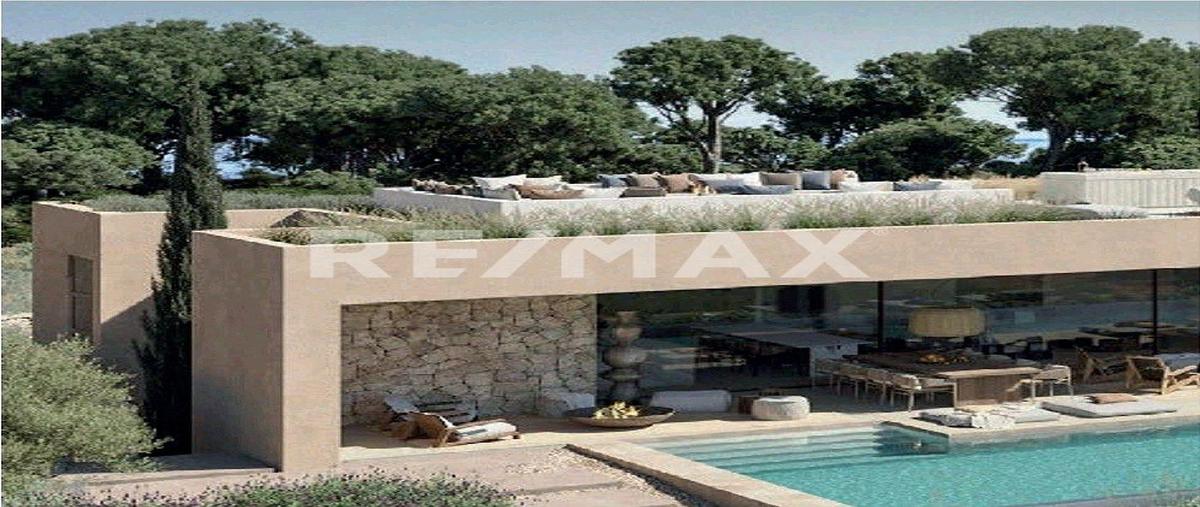 Foto de terreno habitacional en venta en snn , centro hunucmá, hunucmá, yucatán, 0 No. 04