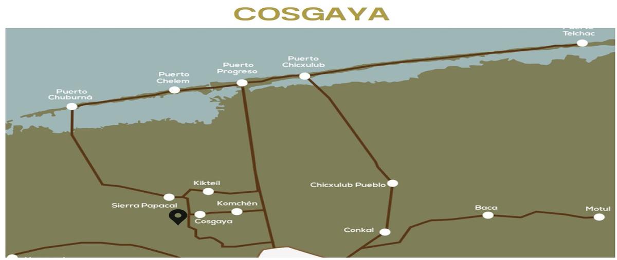 Foto de terreno habitacional en venta en snn , cosgaya, mérida, yucatán, 0 No. 05
