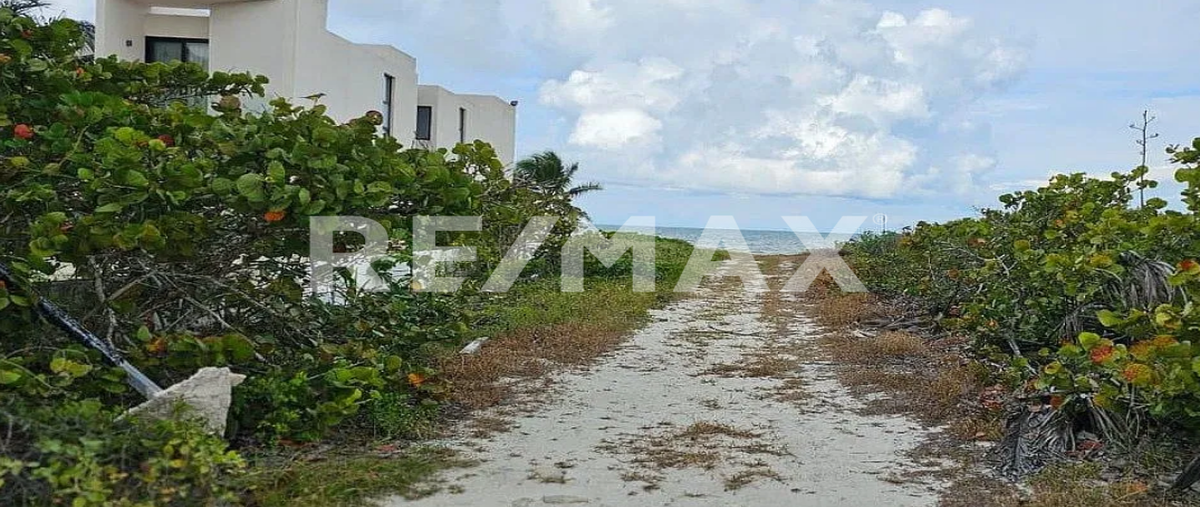 Foto de terreno habitacional en venta en snn , dzemul, dzemul, yucatán, 0 No. 03