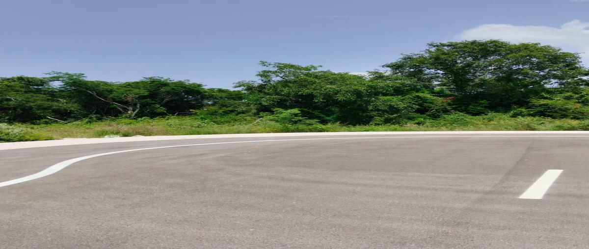 Foto de terreno habitacional en venta en snn , kiktel, mérida, yucatán, 0 No. 05
