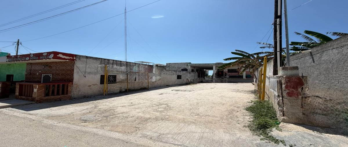 Foto de terreno comercial en snn , rio lagartos, río lagartos, yucatán, 0 foto 02 Foto de terreno comercial en venta en snn , rio lagartos, río lagartos, yucatán, 0 No. 02