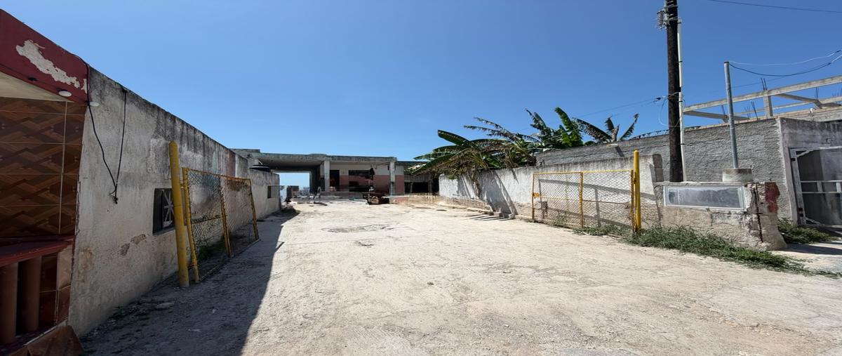 Foto de terreno comercial en snn , rio lagartos, río lagartos, yucatán, 0 foto 04 Foto de terreno comercial en venta en snn , rio lagartos, río lagartos, yucatán, 0 No. 04