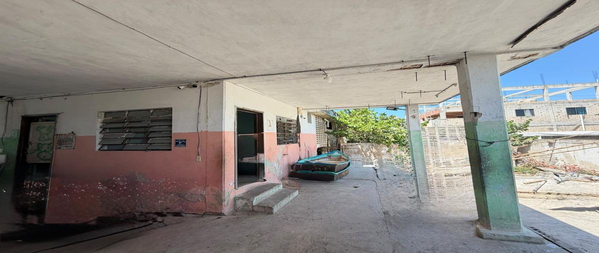 Foto de terreno comercial en snn , rio lagartos, río lagartos, yucatán, 0 foto 05 Foto de terreno comercial en venta en snn , rio lagartos, río lagartos, yucatán, 0 No. 05