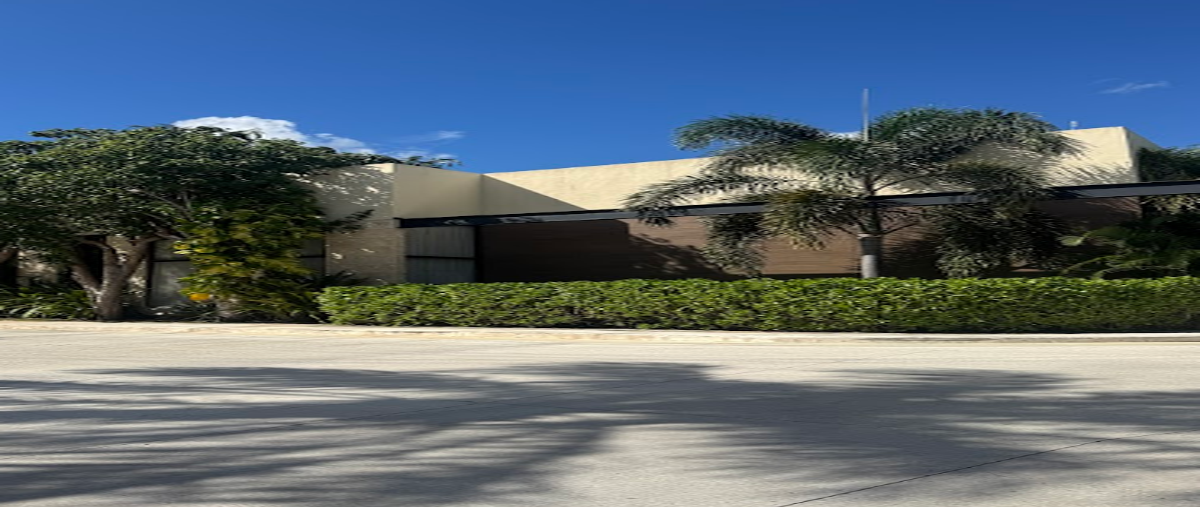 Foto de terreno habitacional en venta en snn , tamanché, mérida, yucatán, 0 No. 04