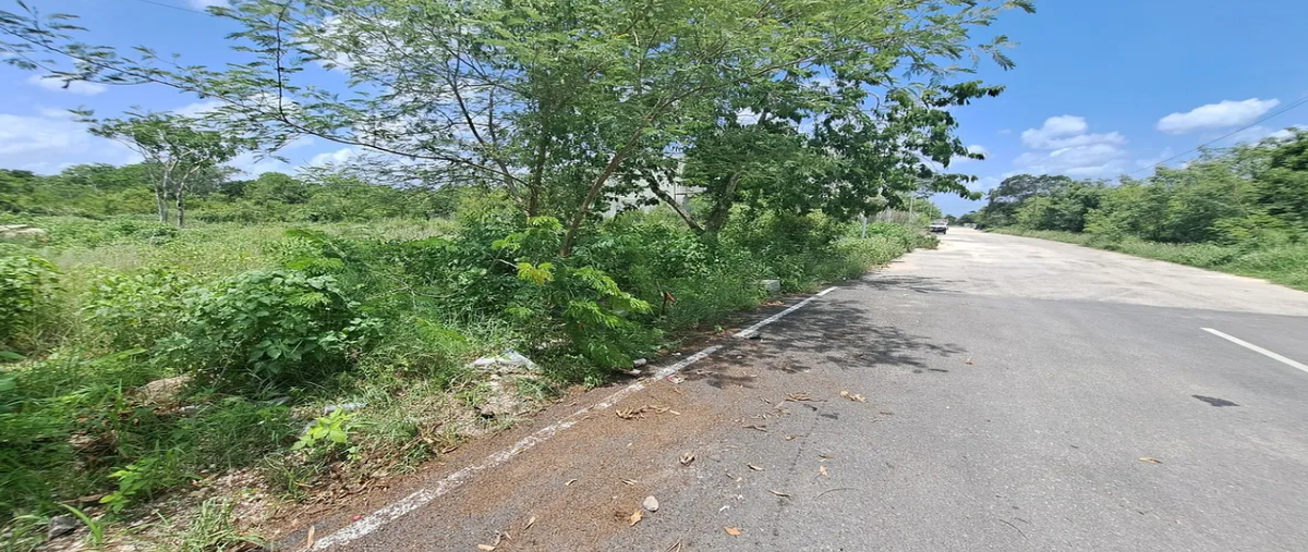 Foto de terreno habitacional en venta en snn , temozon norte, mérida, yucatán, 31619181 No. 05