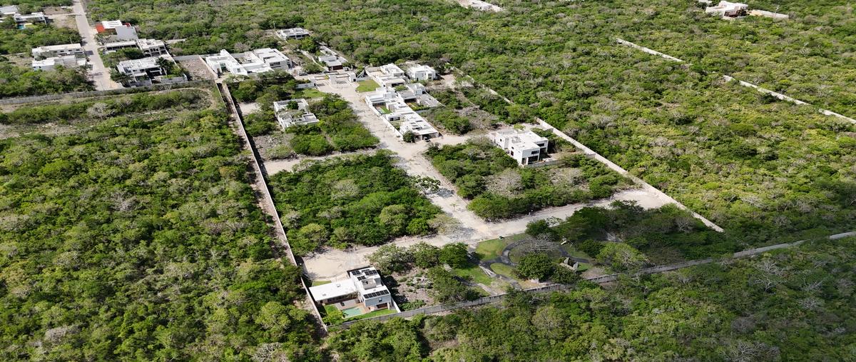 Foto de terreno habitacional en venta en snn , temozon norte, mérida, yucatán, 0 No. 03
