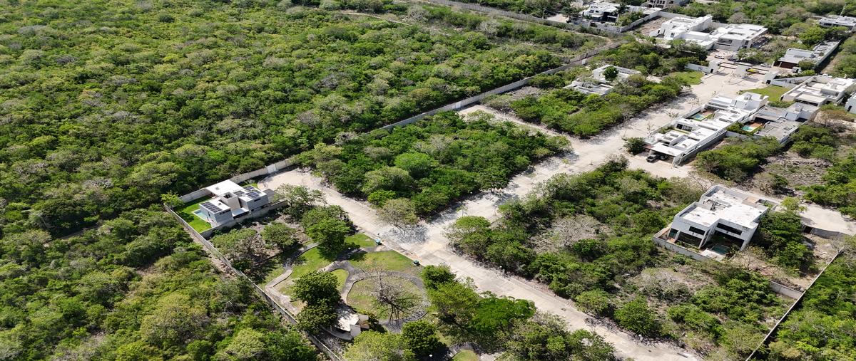 Foto de terreno habitacional en venta en snn , temozon norte, mérida, yucatán, 0 No. 04