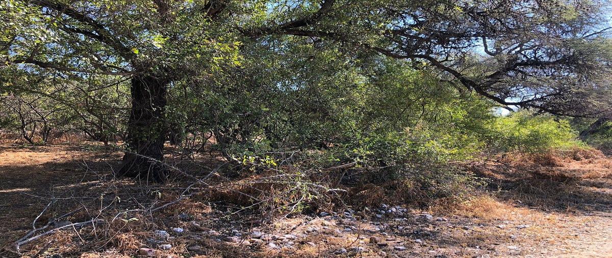 Foto de terreno habitacional en venta en s/nombre , banda, san miguel de allende, guanajuato, 0 No. 03