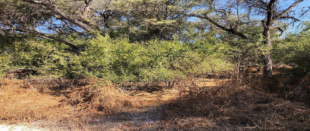 Foto de terreno habitacional en venta en s/nombre , banda, san miguel de allende, guanajuato, 0 No. 04