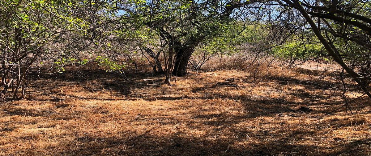 Foto de terreno habitacional en venta en s/nombre , banda, san miguel de allende, guanajuato, 0 No. 05