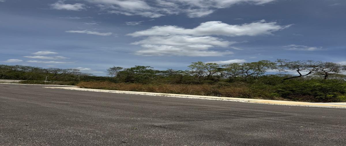 Foto de terreno industrial en venta en sobre carretera merida-hunucma , centro hunucmá, hunucmá, yucatán, 0 No. 03