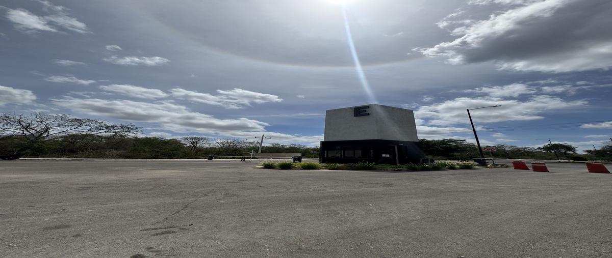 Foto de terreno industrial en venta en sobre carretera merida-hunucma , centro hunucmá, hunucmá, yucatán, 0 No. 04