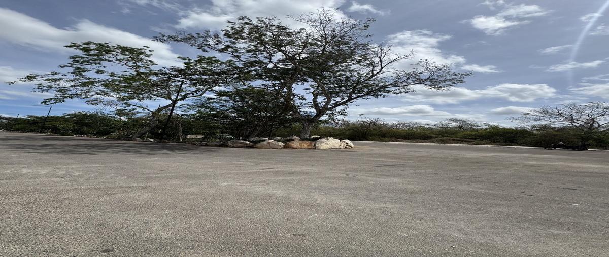 Foto de terreno industrial en venta en sobre carretera merida-hunucma , centro hunucmá, hunucmá, yucatán, 0 No. 05