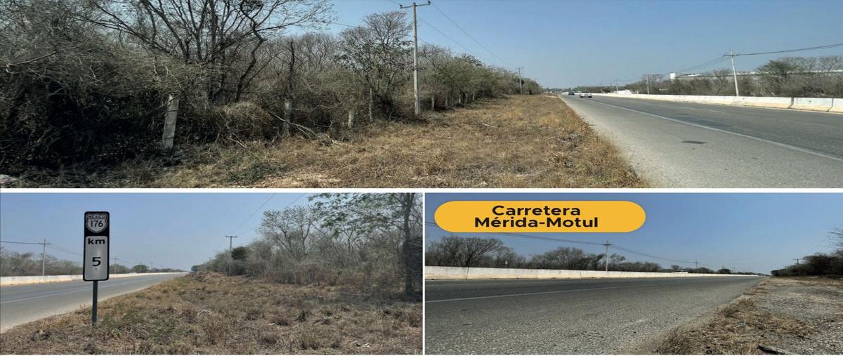 Foto de terreno habitacional en venta en sobre carretera mérida-motul , conkal, conkal, yucatán, 0 No. 05