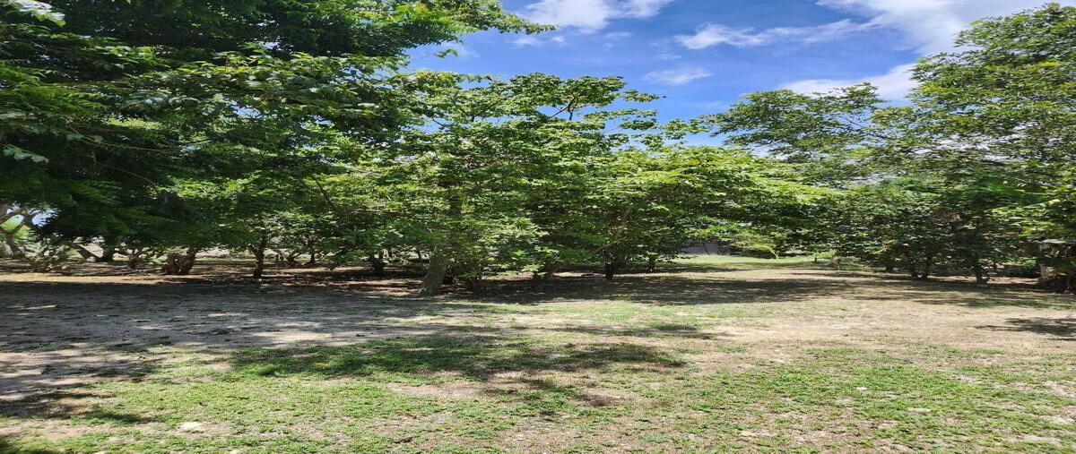 Foto de rancho en venta en sobre carretera , progreso de castro centro, progreso, yucatán, 0 No. 01