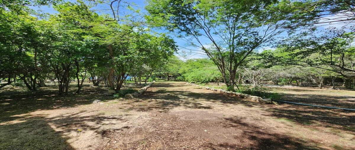 Foto de rancho en venta en sobre carretera , progreso de castro centro, progreso, yucatán, 0 No. 02