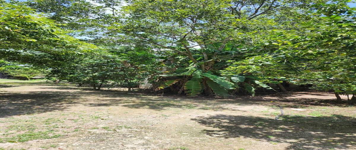 Foto de rancho en venta en sobre carretera , progreso de castro centro, progreso, yucatán, 0 No. 05