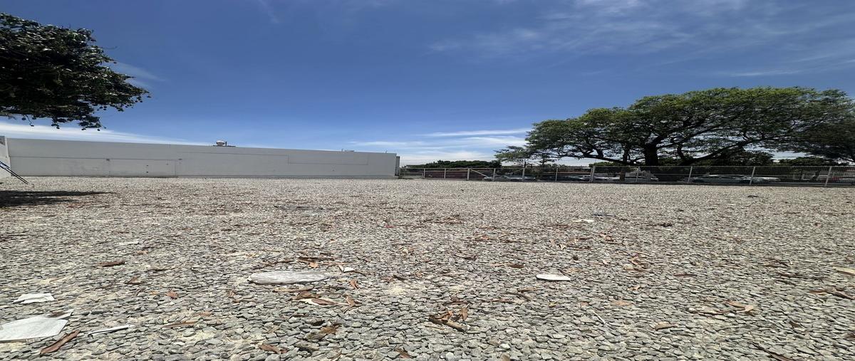 Foto de terreno habitacional en venta en sobre circunvalacion , jardines alcalde, guadalajara, jalisco, 29698933 No. 05