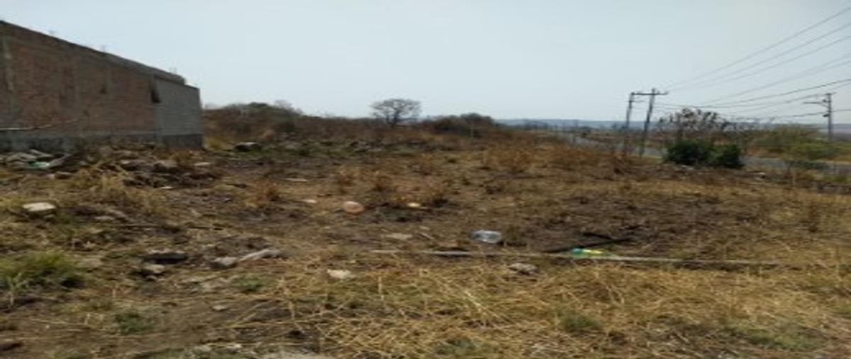 Foto de terreno habitacional en venta en sobre la carretera , el vado, tonalá, jalisco, 24876279 No. 03