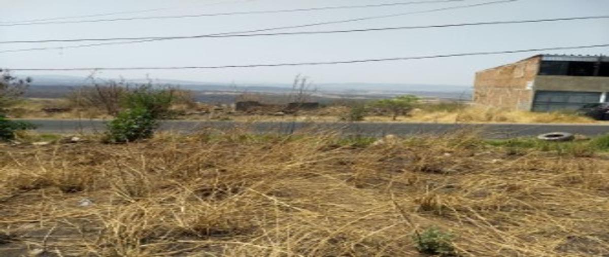 Foto de terreno habitacional en venta en sobre la carretera , el vado, tonalá, jalisco, 24876279 No. 04