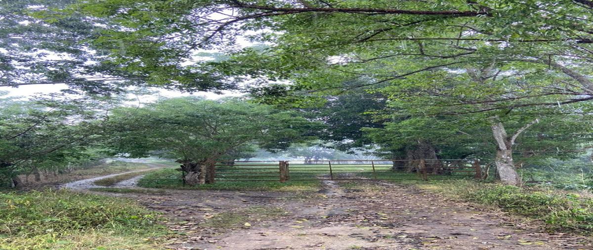 Foto de terreno habitacional en venta en  , soconusco, soconusco, veracruz de ignacio de la llave, 25673235 No. 04