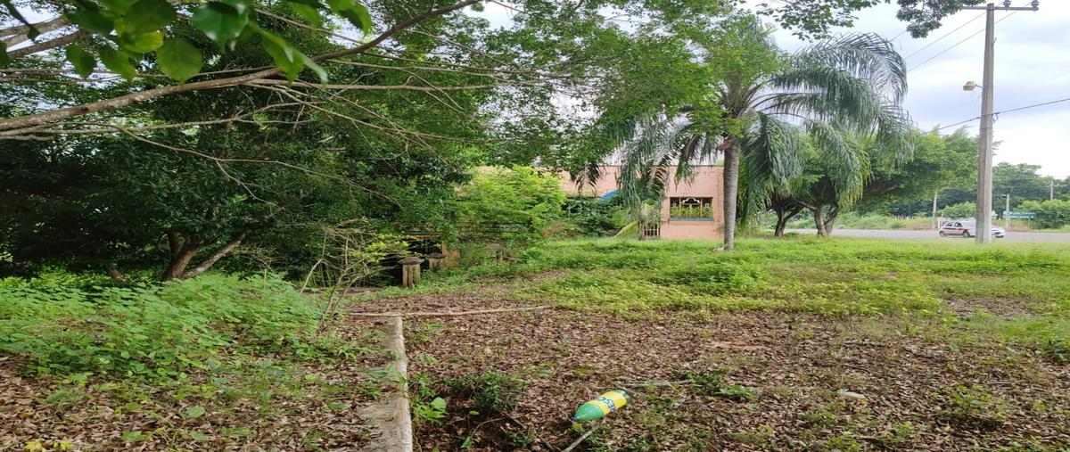 Foto de terreno habitacional en venta en  , soconusco, soconusco, veracruz de ignacio de la llave, 29317005 No. 04