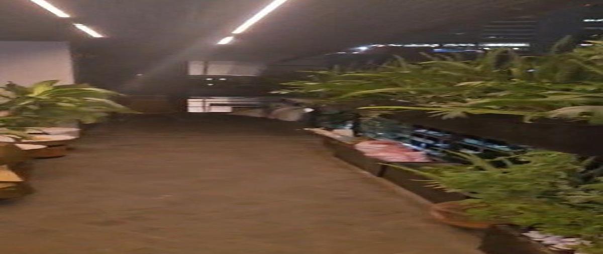 Foto de departamento en renta en socrates , polanco iii sección, miguel hidalgo, df / cdmx, 0 No. 05