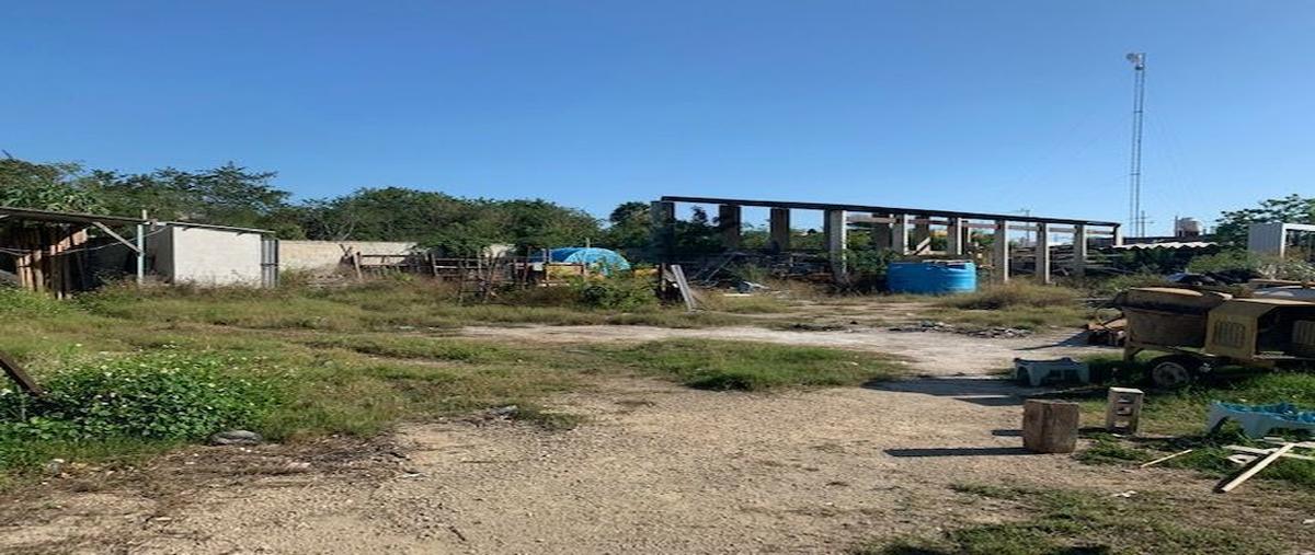 Foto de terreno comercial en renta en  , sodzil norte, mérida, yucatán, 11477298 No. 04