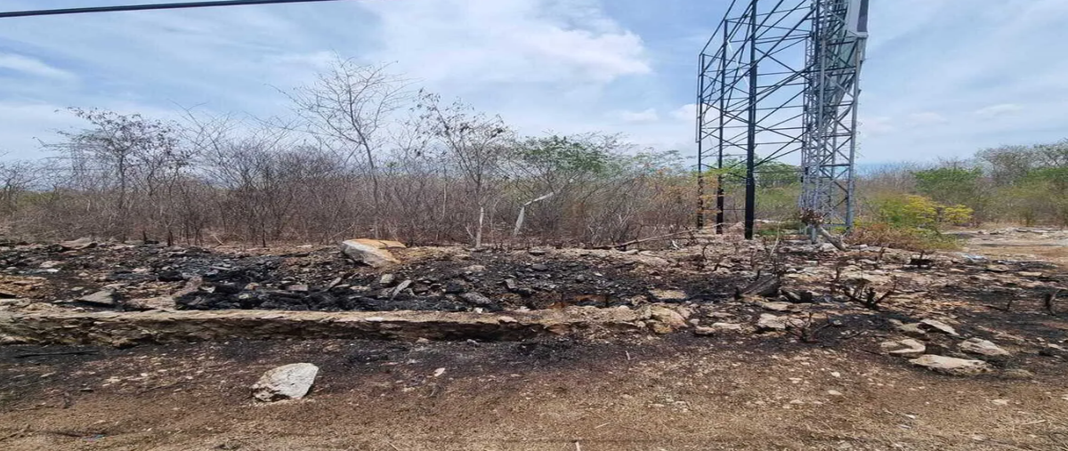 Foto de terreno habitacional en venta en  , sodzil norte, mérida, yucatán, 28692397 No. 03