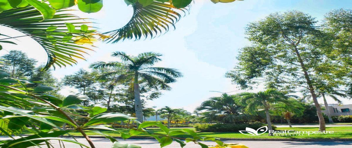 Foto de terreno habitacional en venta en  , sol campestre, centro, tabasco, 0 No. 05
