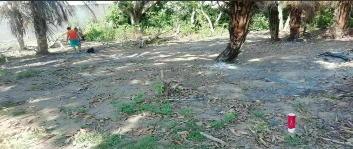 Foto de terreno habitacional en solar , anton lizardo, alvarado, veracruz de ignacio de la llave, 20231538 foto 01 Foto de terreno habitacional en venta en solar , anton lizardo, alvarado, veracruz de ignacio de la llave, 20231538 No. 01