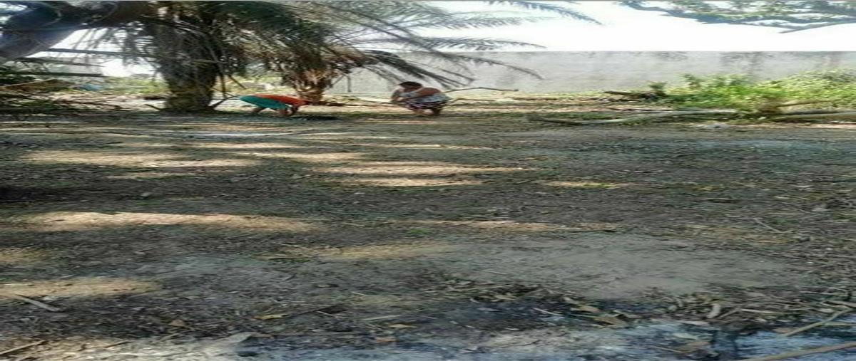 Foto de terreno habitacional en solar , anton lizardo, alvarado, veracruz de ignacio de la llave, 20231538 foto 03 Foto de terreno habitacional en venta en solar , anton lizardo, alvarado, veracruz de ignacio de la llave, 20231538 No. 03