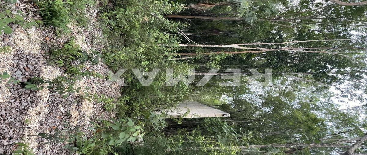 Foto de terreno habitacional en venta en solar urbano 4 manzana 894 zona 11 , guerra de castas, tulum, quintana roo, 0 No. 03