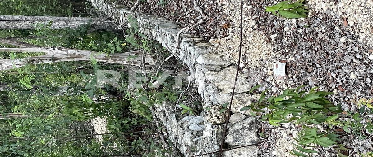 Foto de terreno habitacional en venta en solar urbano 4 manzana 894 zona 11 , guerra de castas, tulum, quintana roo, 0 No. 04