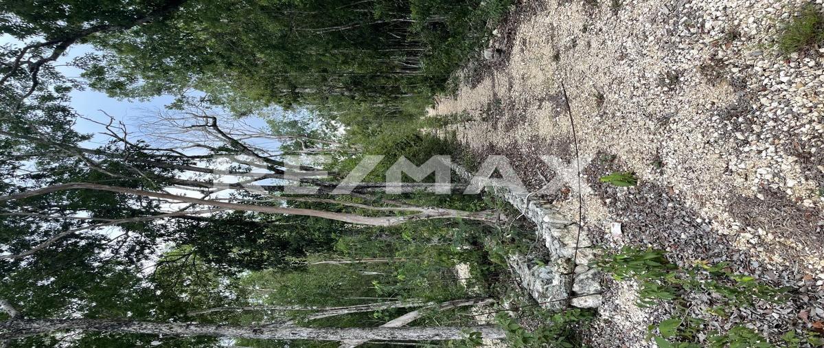 Foto de terreno habitacional en venta en solar urbano 4 manzana 894 zona 11 , guerra de castas, tulum, quintana roo, 0 No. 05