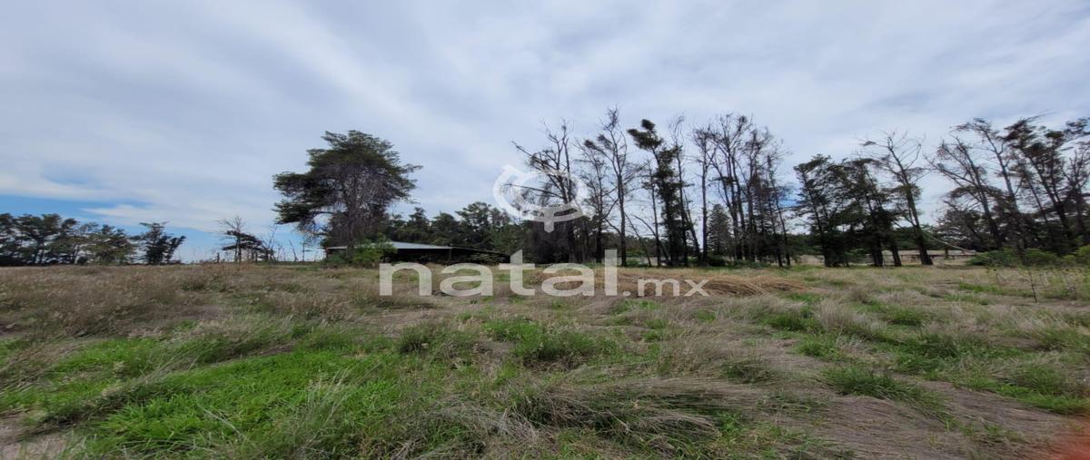 Foto de casa en venta en  , solares de tenextepec, atlixco, puebla, 0 No. 05