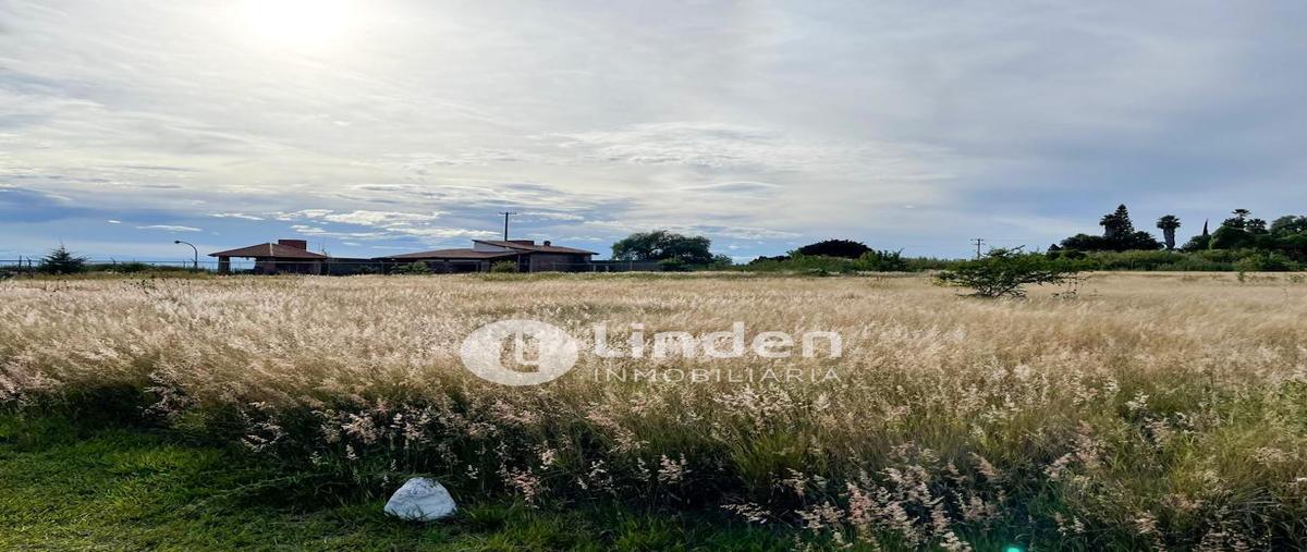 Foto de terreno habitacional en venta en  , solares de tenextepec, atlixco, puebla, 30486657 No. 05