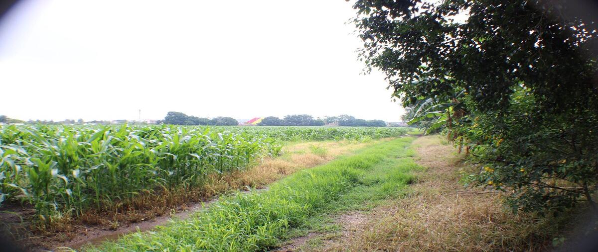 Foto de terreno comercial en , solares, zapopan, jalisco, 0 foto 01 Foto de terreno comercial en venta en , solares, zapopan, jalisco, 0 No. 01